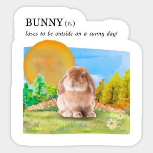 Bunny on a sunny day Sticker